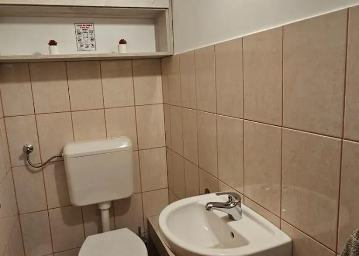 Lotti Bekescsaba